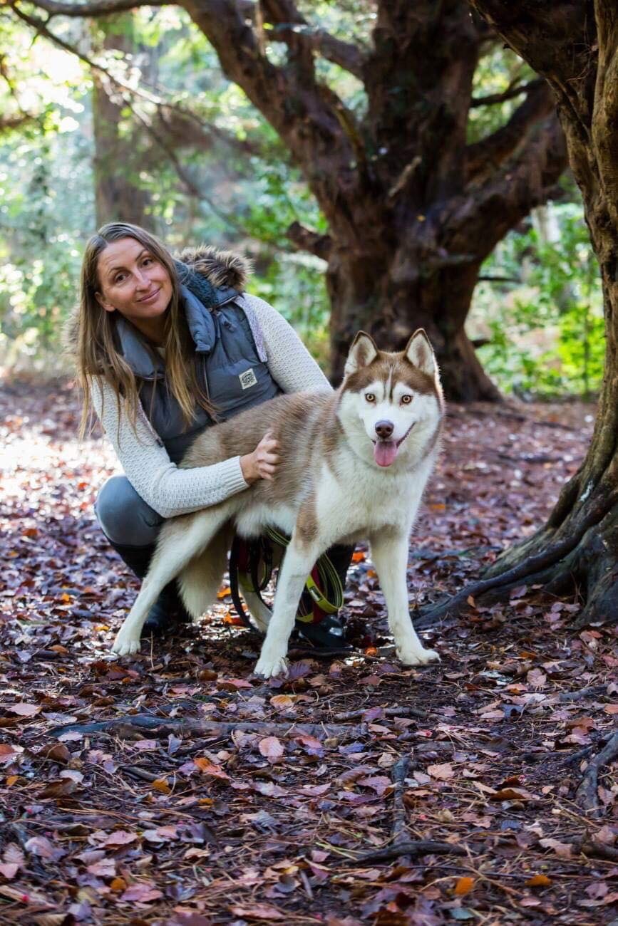 Dog trainer working with a dog outdoors